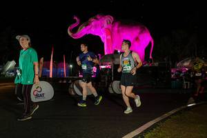 BIB: 
                            <button type="button" onclick="openModal(26542849)" class="btn btn-primary btn-sm float-right btn-popup" data-toggle="modal" data-target=".modal-high-quality">
                        <i class="fas fa-shopping-cart"></i> Add to Cart
                    </button>
                                            <button type="button" onclick="isThisMe(26542849, true)" class="btn btn-success btn-sm float-right btn-popup btn-isme hidden" data-toggle="tooltip" data-placement="bottom" title="นี่คือรูปของคุณใช่ไหม คลิกที่นี่เพื่อเอาเข้าอัลบั้ม">
                        <i class="fas fa-plus"></i> Add to album
                    </button>
                    <button type="button" onclick="isThisMe(26542849, false)" class="btn btn-warning btn-sm float-right btn-popup btn-isnotme hidden">
                        <i class="fas fa-ban"></i> Remove from album
                    </button>